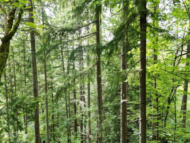 Land for sale in Issaquah, Washington