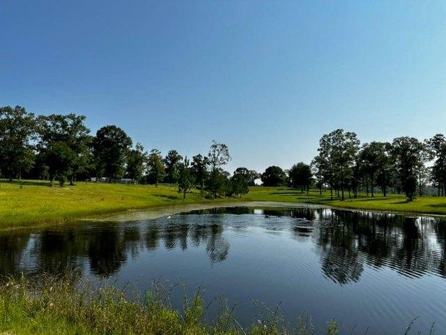 Land for sale in Citronelle, Alabama