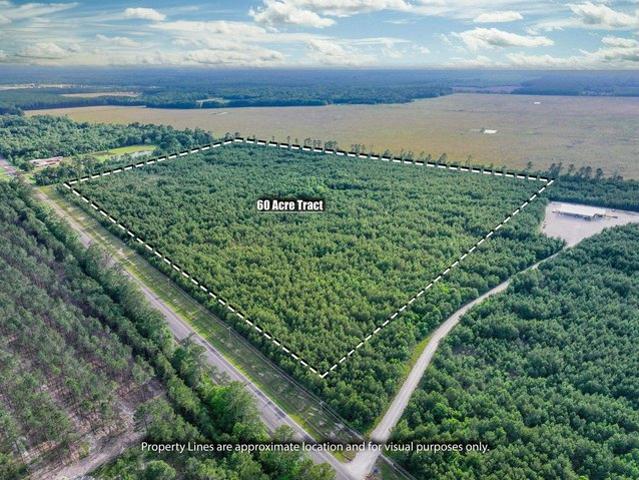 Land for sale in Kountze, Texas