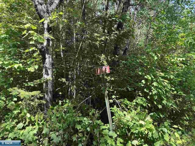 Land for sale in Orr, Minnesota
