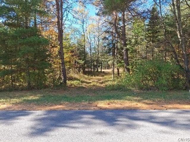Land for sale in Town of Forestport, Oneida County