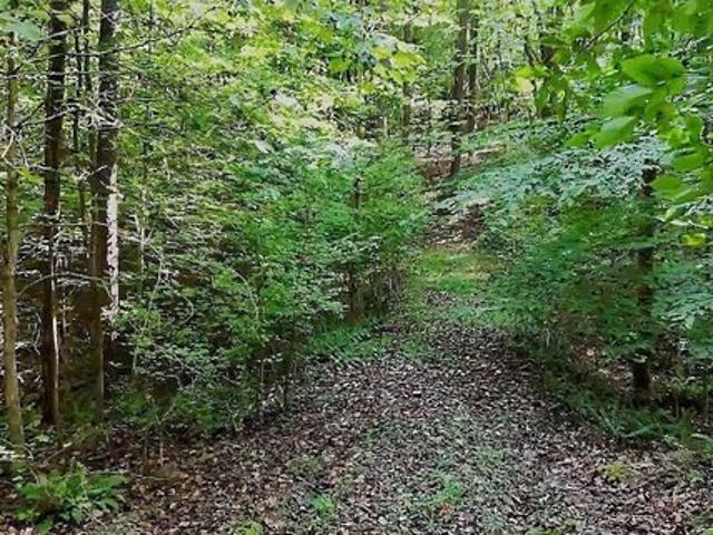 Land for sale in Wake, North Carolina