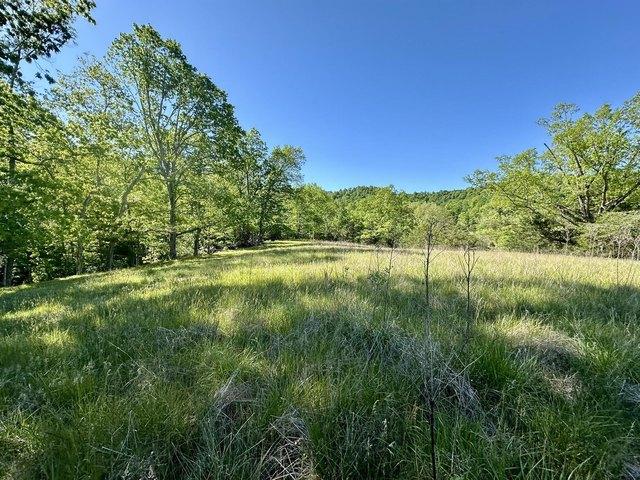 Land for sale in Liberty, Kentucky