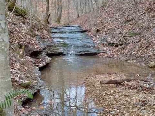 Land for sale in Tennessee