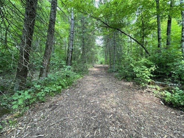 Land for sale in Sawyer, Wisconsin