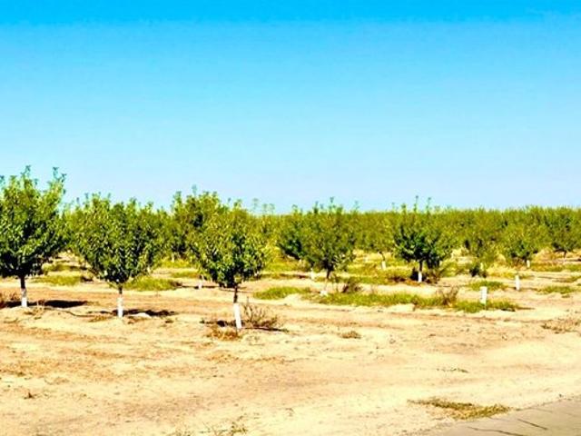 Land for sale in Caruthers, California