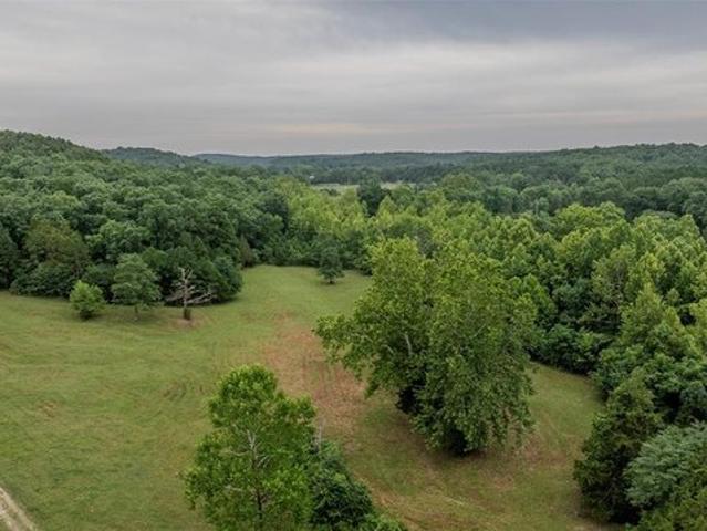 Land for sale in Mineral Point, Missouri