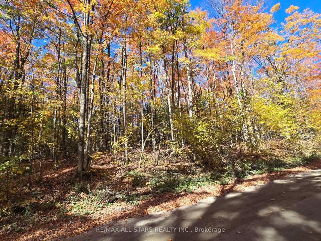 Land for sale in Highlands East, Ontario