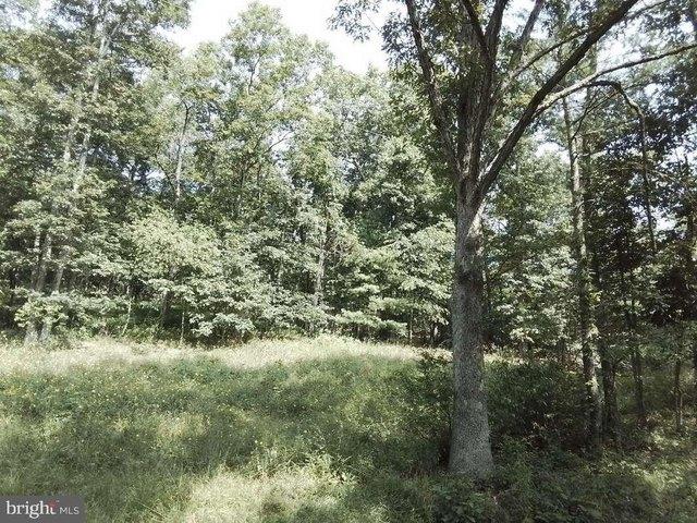Land for sale in Flintstone, Maryland