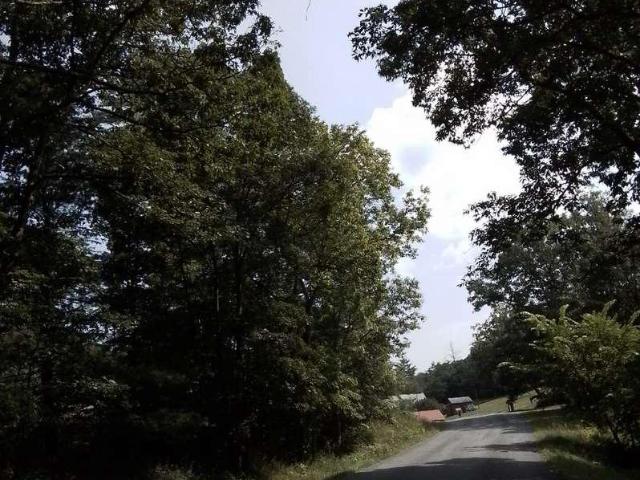 Property for sale in Flintstone, Maryland