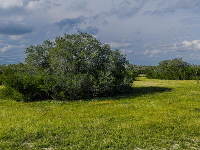Farm for sale in Bee, Texas