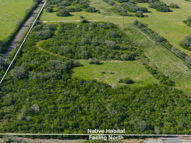 Land for sale in Bee, Texas