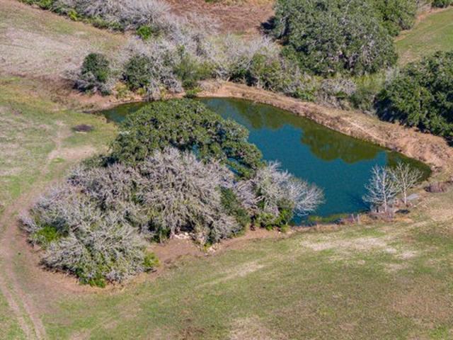 Farm for sale in Bee, Texas