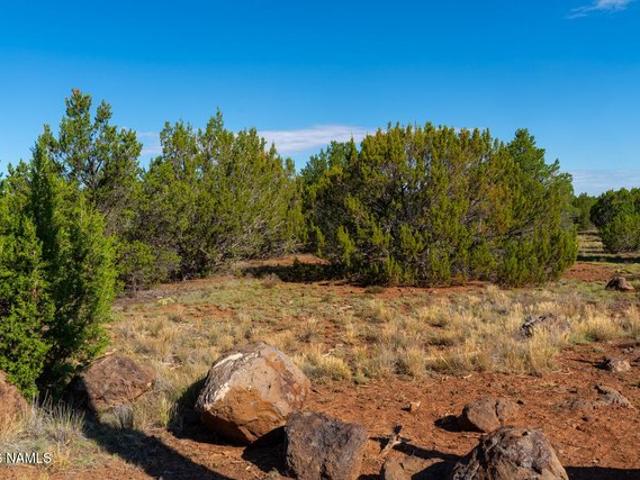 Land for sale in Williams, Arizona