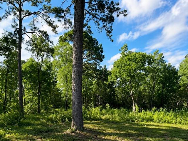 Land for sale in Liberty, Texas