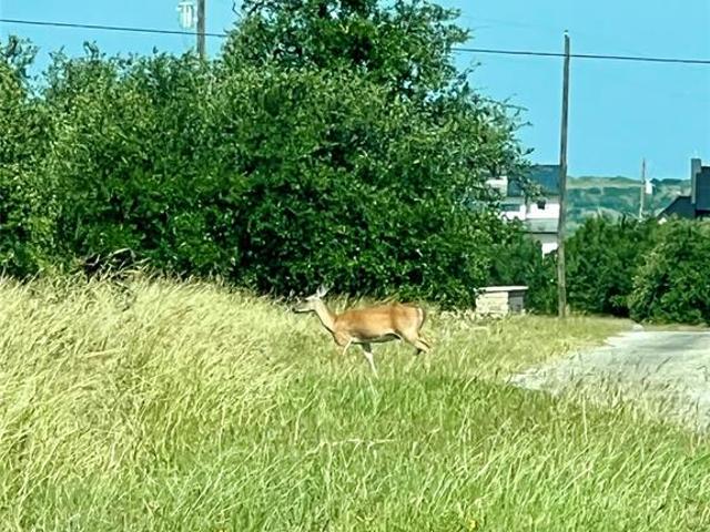 Land for sale in Graford, Texas