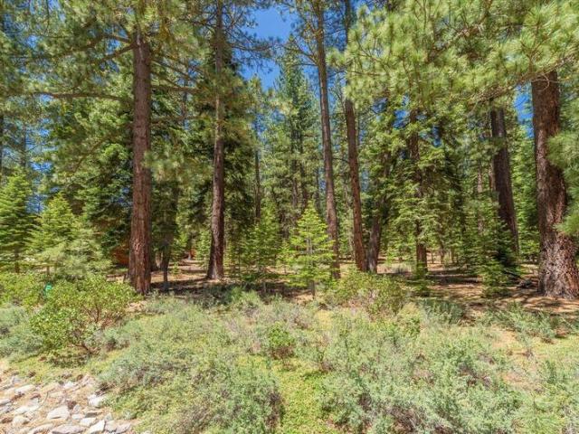 Land for sale in Truckee