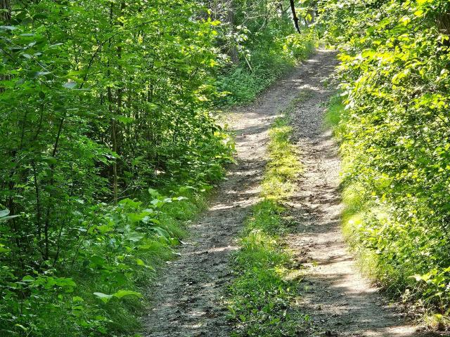 Land for sale in Red Lake Falls, Minnesota