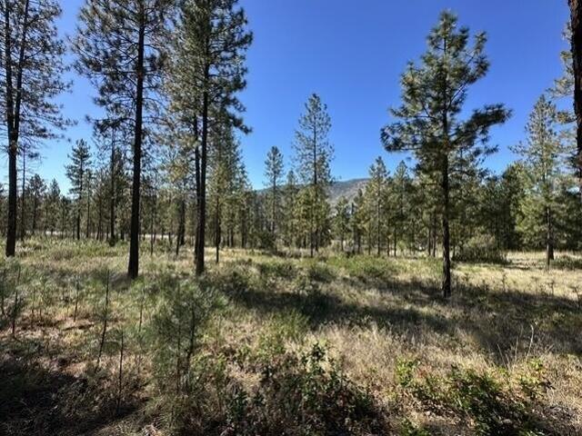 Land for sale in Kettle Falls, Stevens County