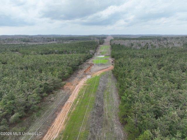 Land for sale in Blue Springs, Mississippi
