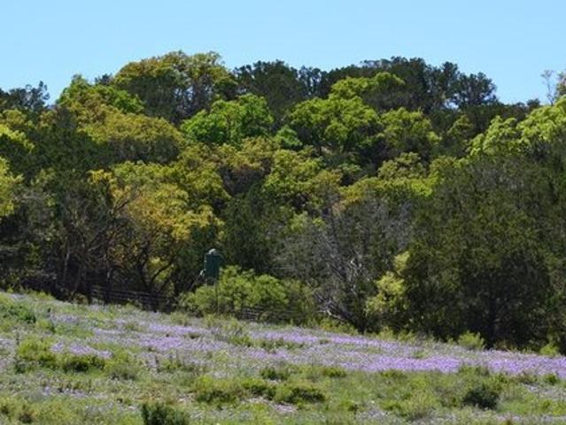 Farm for sale in Junction, Texas