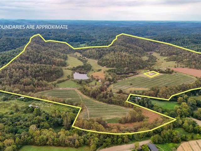 Farm for sale in London, Laurel County