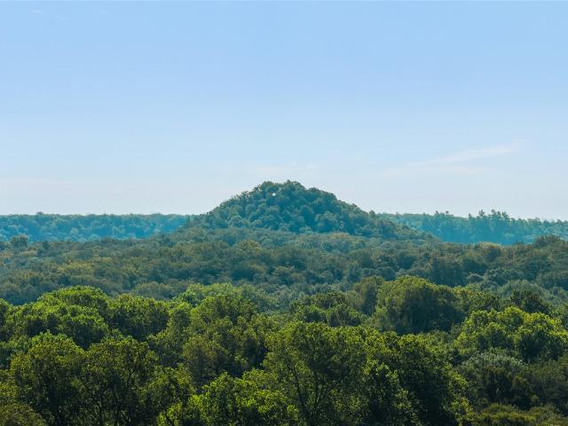 Land for sale in Milam, Texas