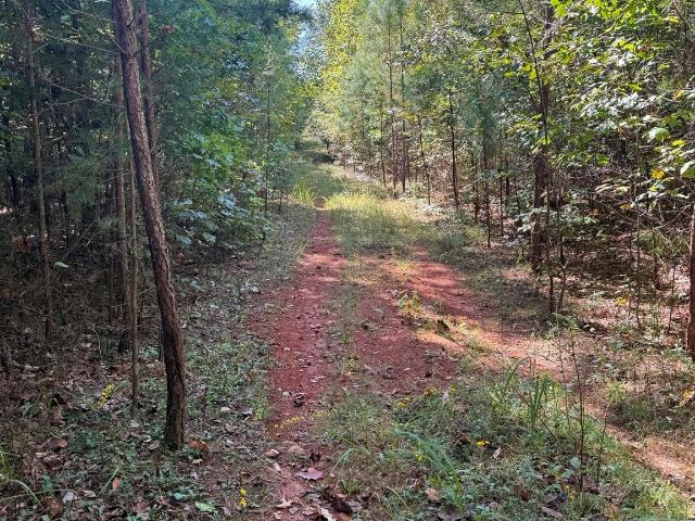 Land for sale in North Carolina