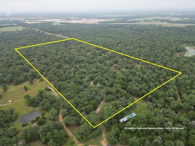 Farm for sale in Lexington, Texas