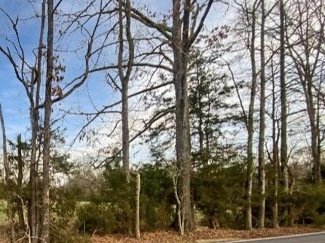 Land for sale in Brandon, Rankin County