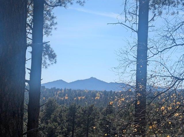 Land for sale in Deadwood, Lawrence County