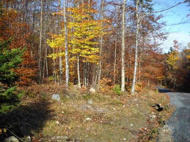Land for sale in New Hampshire