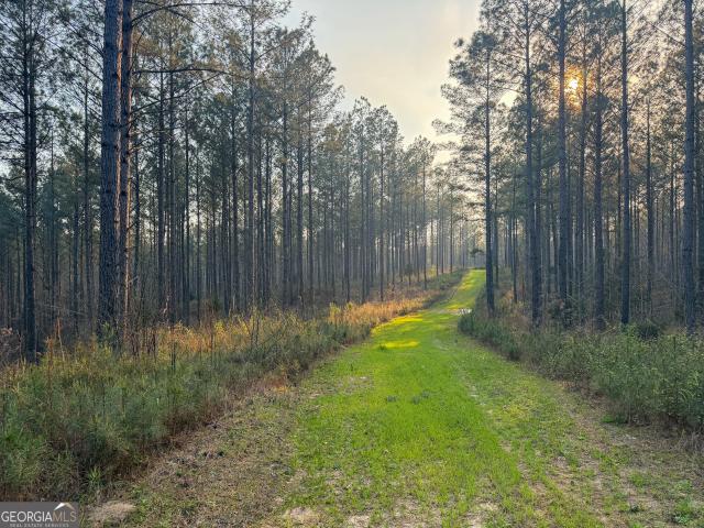 Land for sale in Franklin, Georgia