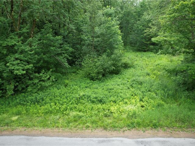 Land for sale in Parish, New York
