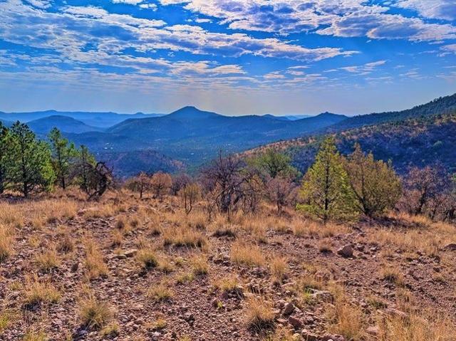 Land for sale in Fort Davis, Texas