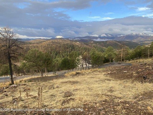 Land for sale in New Mexico