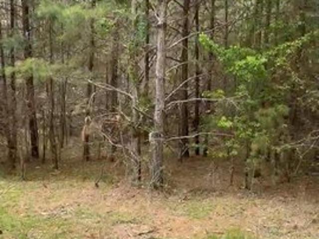 Land for sale in Lawndale, North Carolina