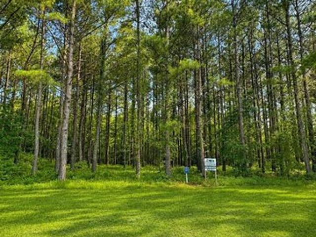 Land for sale in Edenton, North Carolina