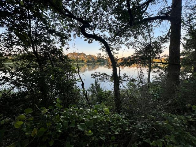Land for sale in Virginia