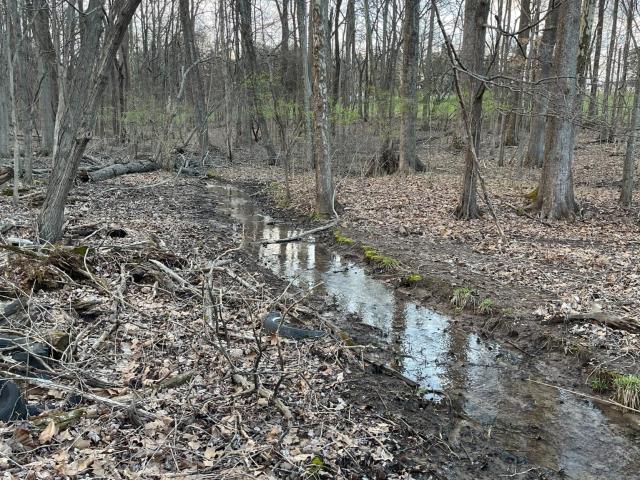 Land for sale in Hillview, Mount Juliet