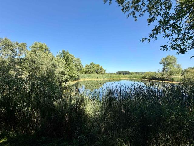 Condo for sale in Cottage Grove, Wisconsin