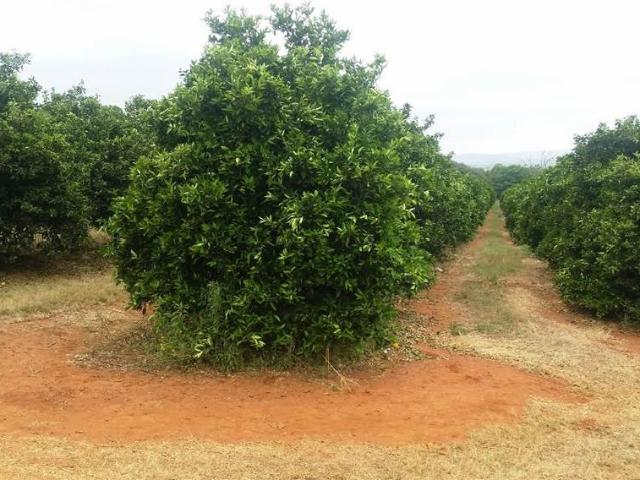 Farm for sale in North West
