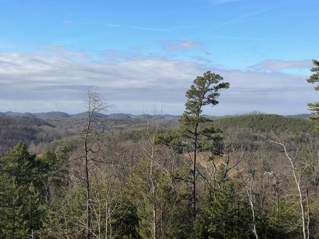 Land for sale in Tennessee