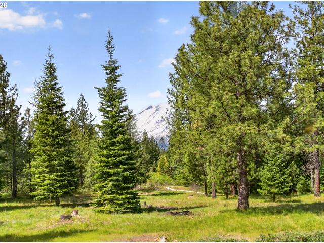 House for sale in Trout Lake, Washington