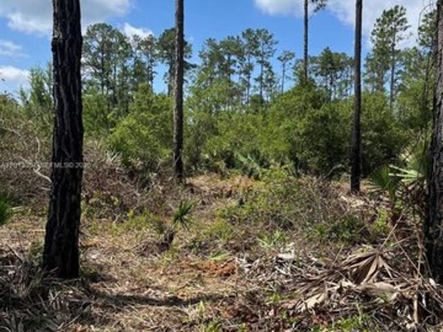 Land for sale in Florida