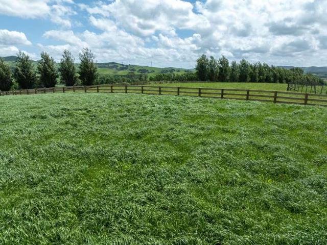Property for sale in Morrinsville, Waikato