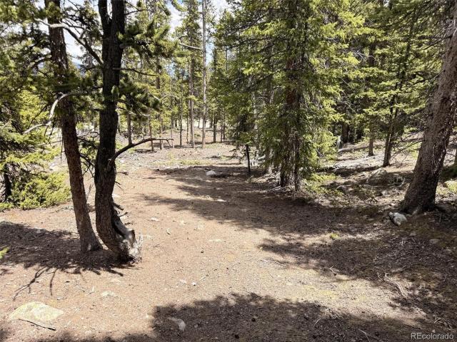 Land for sale in Fairplay, Colorado