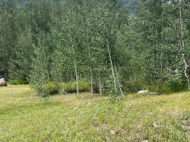 Land for sale in Rico, Colorado