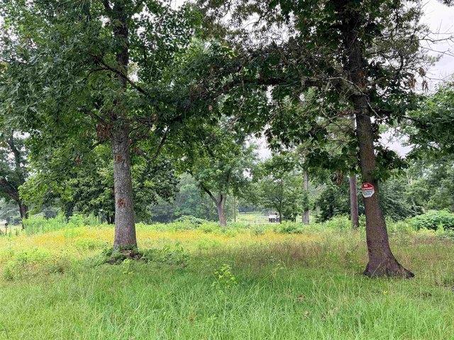Land for sale in Village Mills, Texas