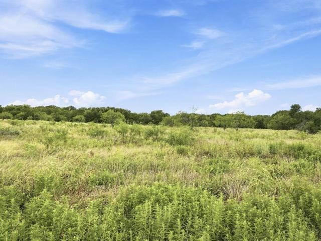 Land for sale in Hubbard, Texas